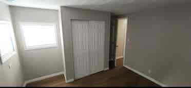 Looking for peaceful roommate