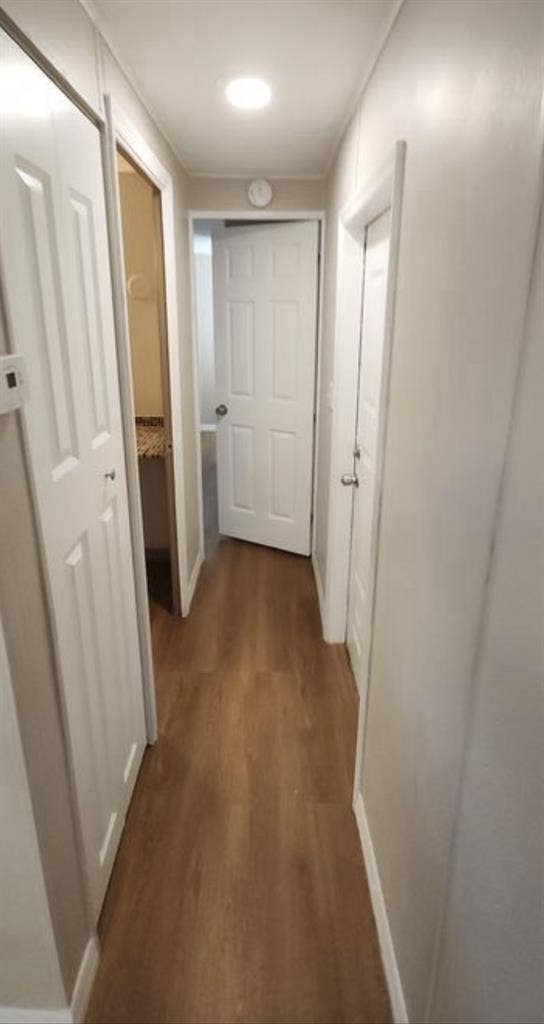 Looking for peaceful roommate