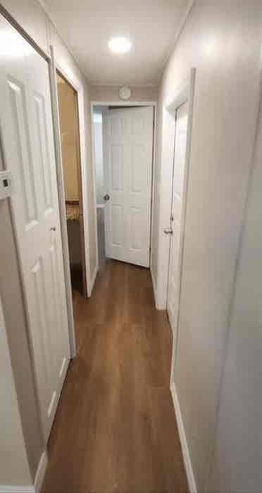 Looking for peaceful roommate