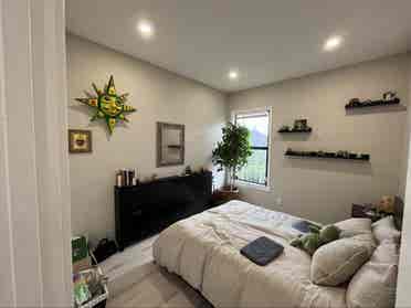 ISO clean roommate dog friendly