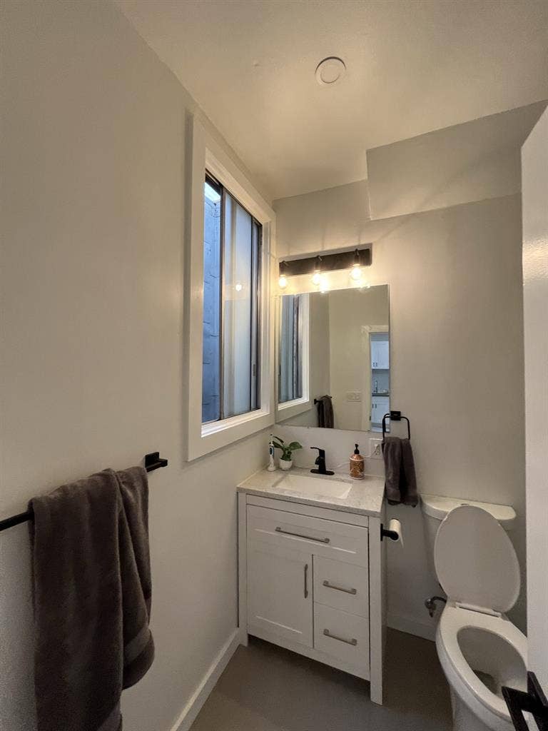 ISO clean roommate dog friendly
