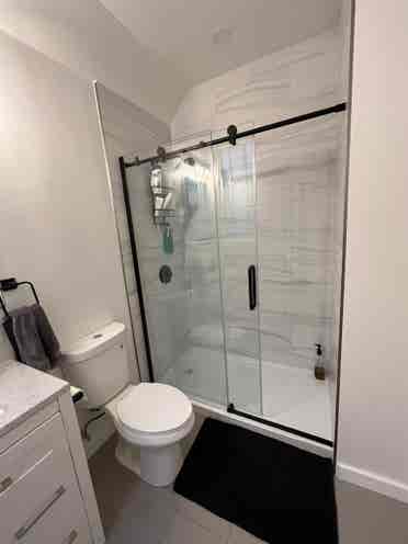 ISO clean roommate dog friendly