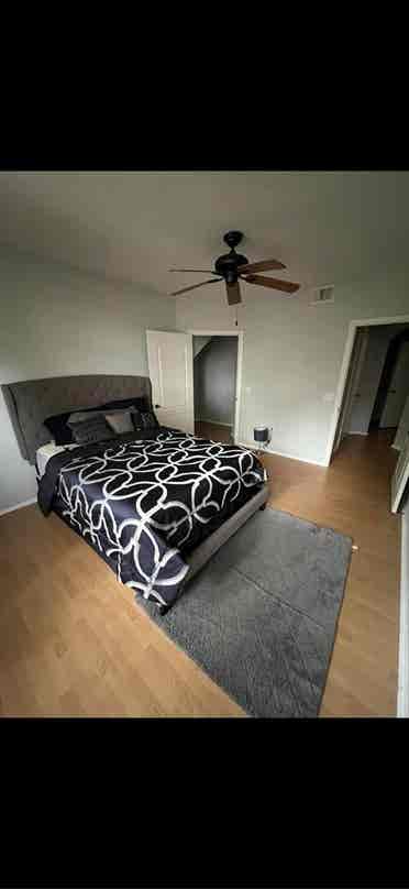 Looking for a Female roommate