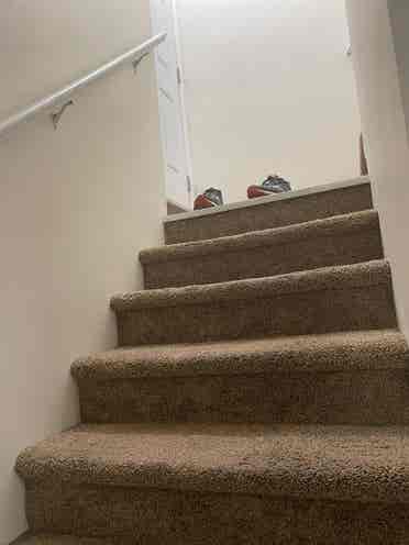 rent in harbourlanding