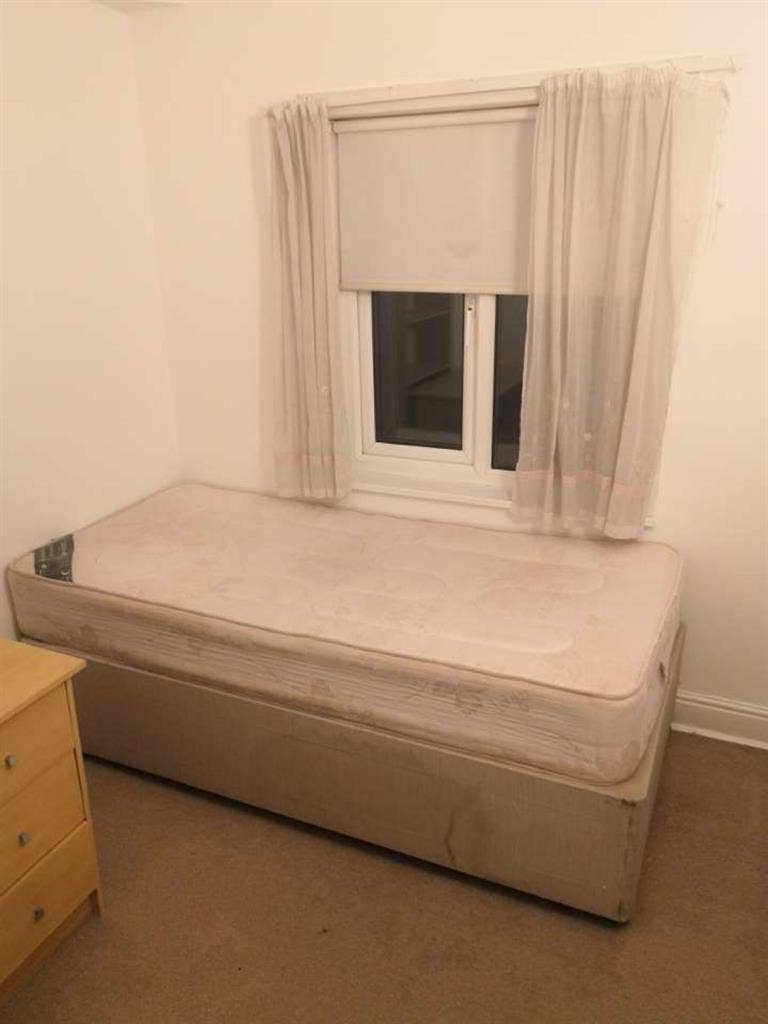 Looking for one more roommate