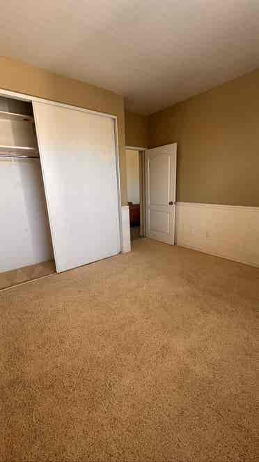 Looking for a laid-back roommate