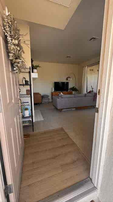 Looking for a laid-back roommate