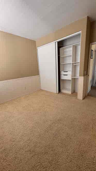 Looking for a laid-back roommate
