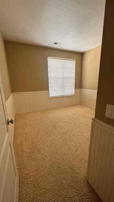 Looking for a laid-back roommate