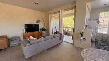 Looking for a laid-back roommate