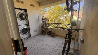 Looking for a laid-back roommate