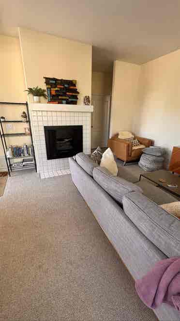 Looking for a laid-back roommate