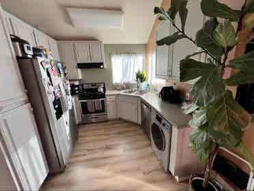 HOUSE SITTER NEEDED FOR JUNE