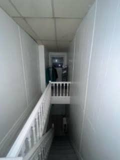Pink room in Mt Airy friendly