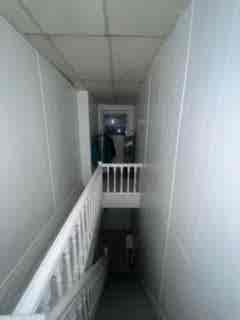 Pink room in Mt Airy  friendly