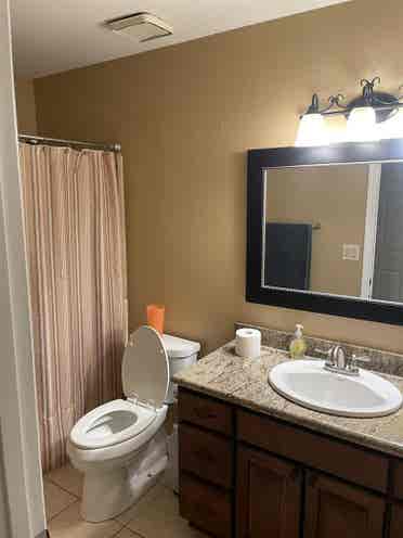2 rooms available only one pictured