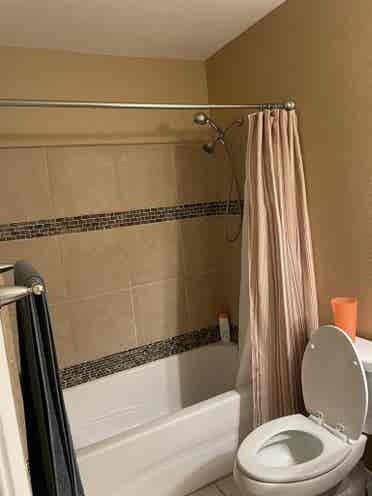 2 rooms available only one pictured
