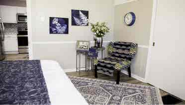 2 more roommates needed!