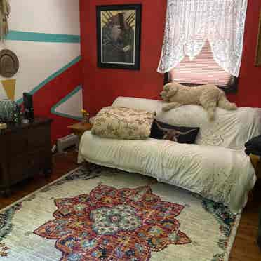 New Listing