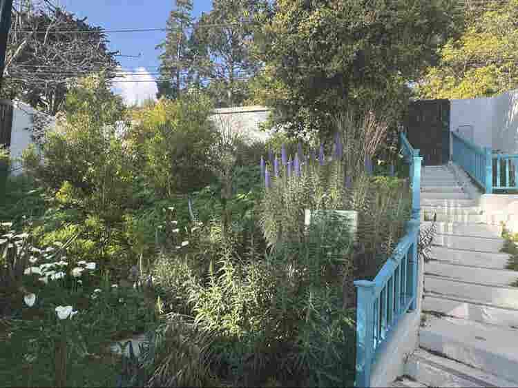 Furnished room in Berkeley Hills