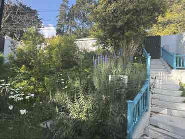 Furnished room in Berkeley Hills