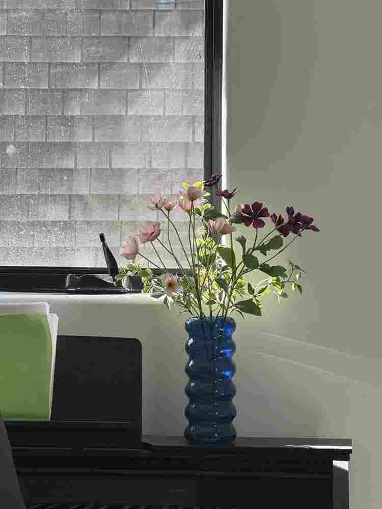 Furnished room in Berkeley Hills