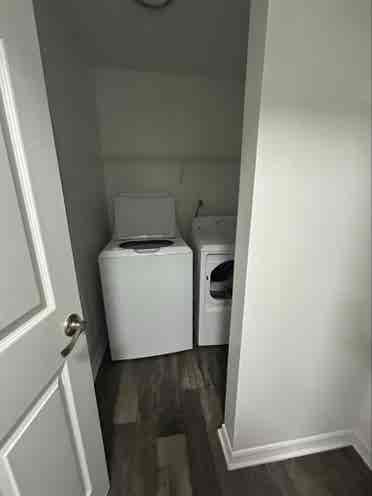 Responsible/Clean Roommate