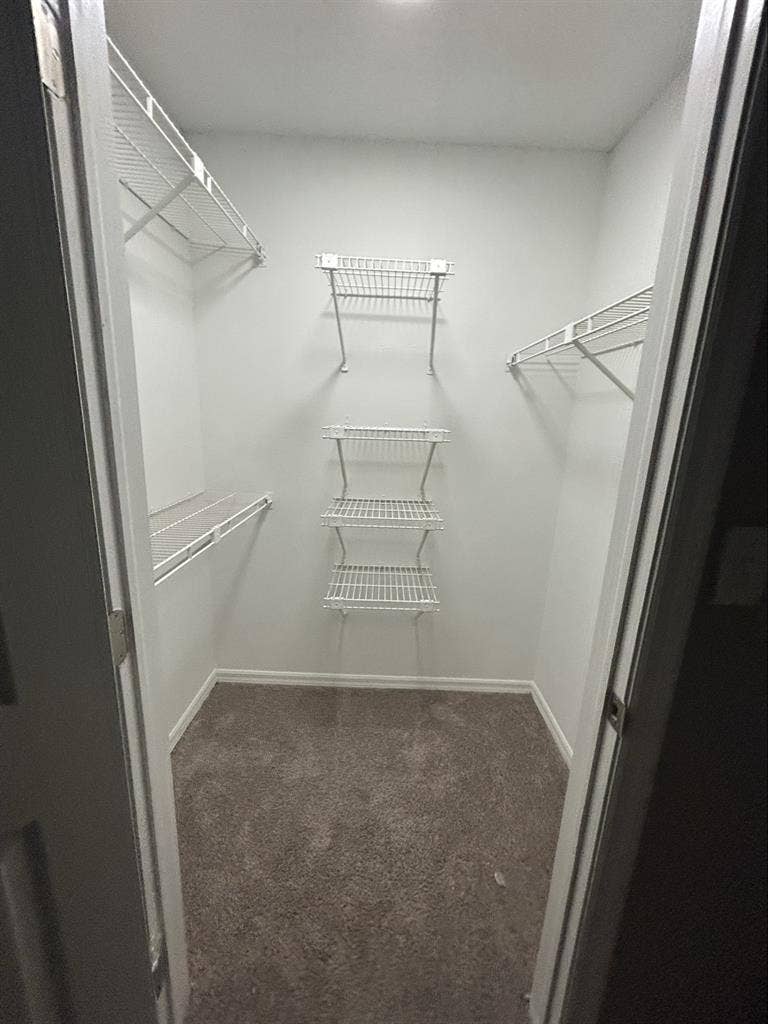 Responsible/Clean Roommate