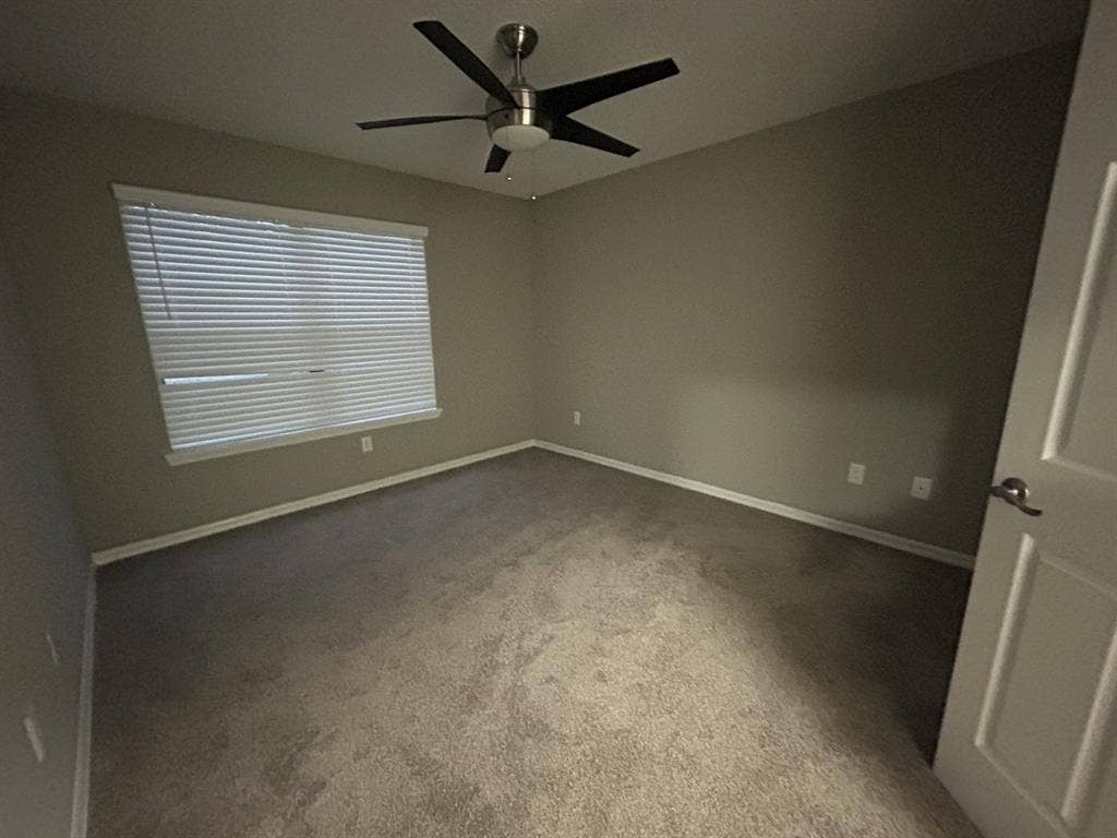 Responsible/Clean Roommate