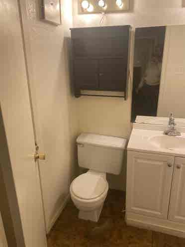 Room /w private bathroom for rent