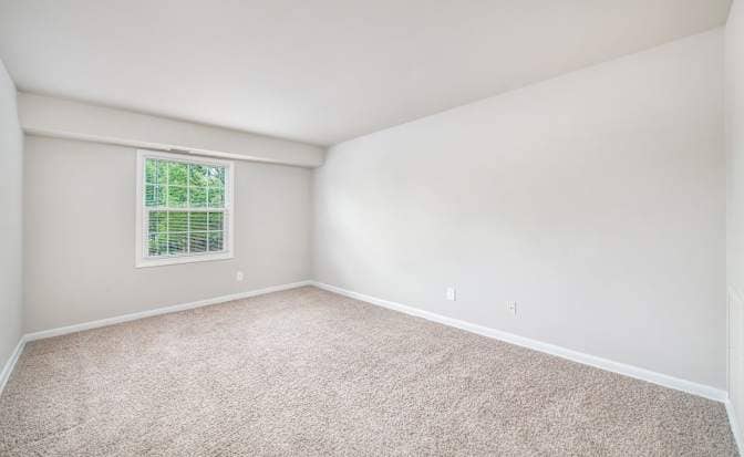 Looking for roommate. 2 bed