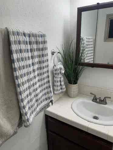 Looking for roomate in b
