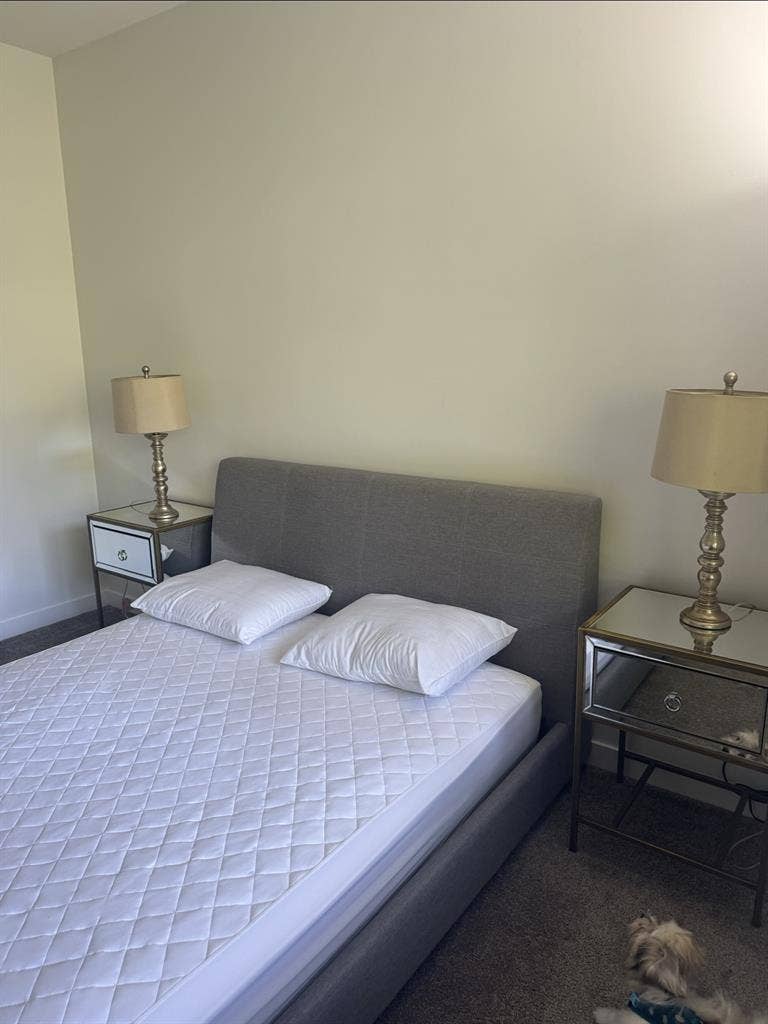 🔴Rent fully furnished two bedrooms