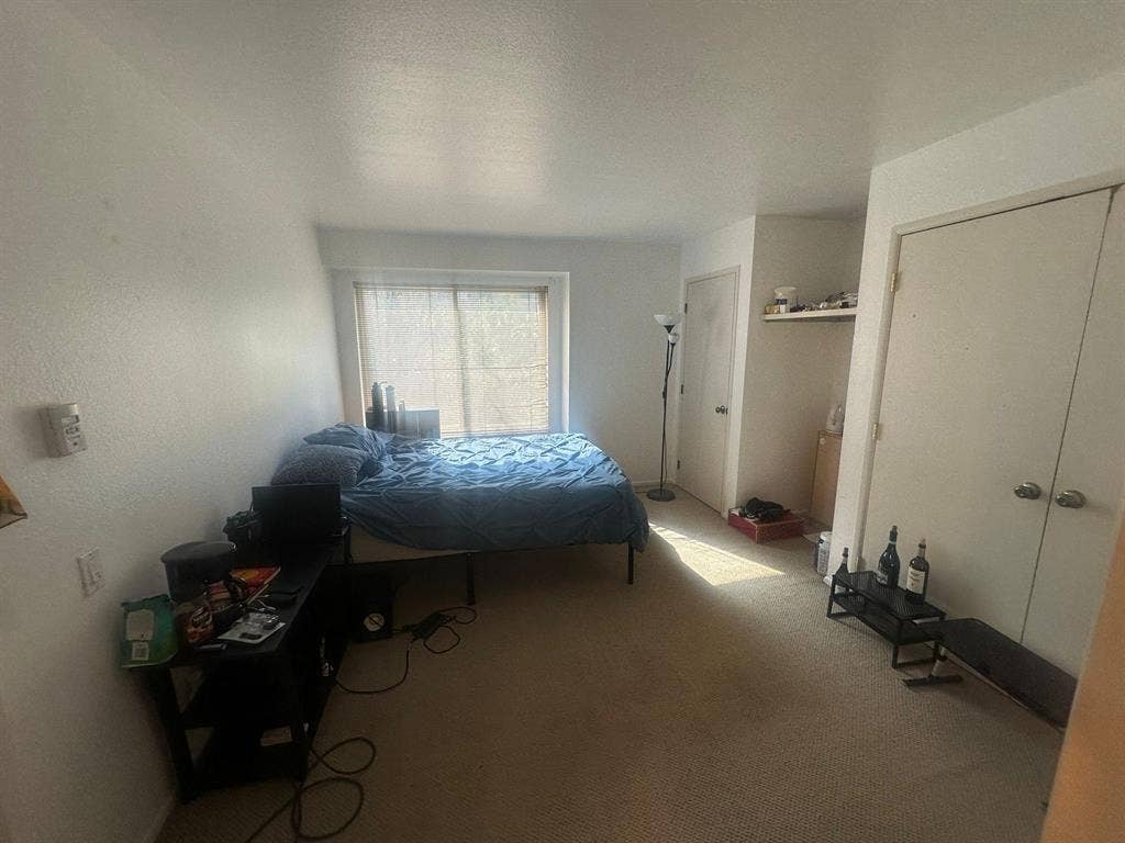 Spacious Furnished Room in Snowmass