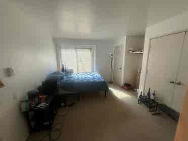 Spacious Furnished Room in Snowmass