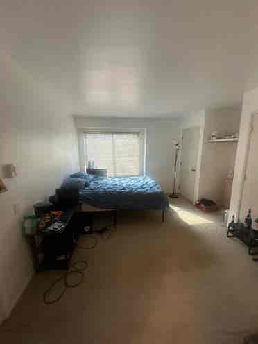 Spacious Furnished Room in Snowmass