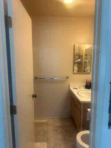 Spacious Furnished Room in Snowmass
