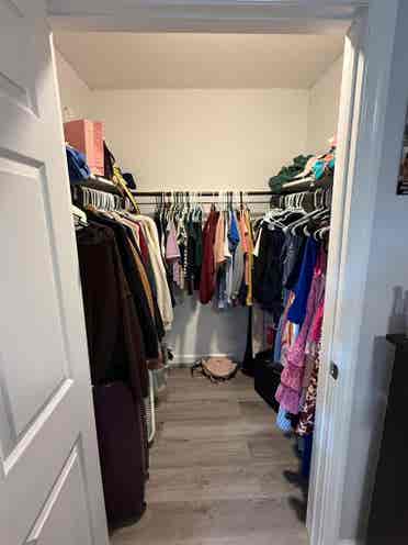 Looking for a Roommate