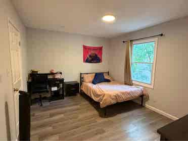 Looking for a Roommate