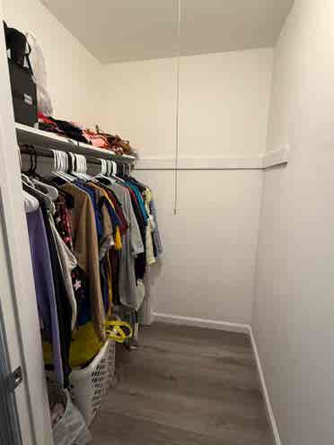 Looking for a Roommate