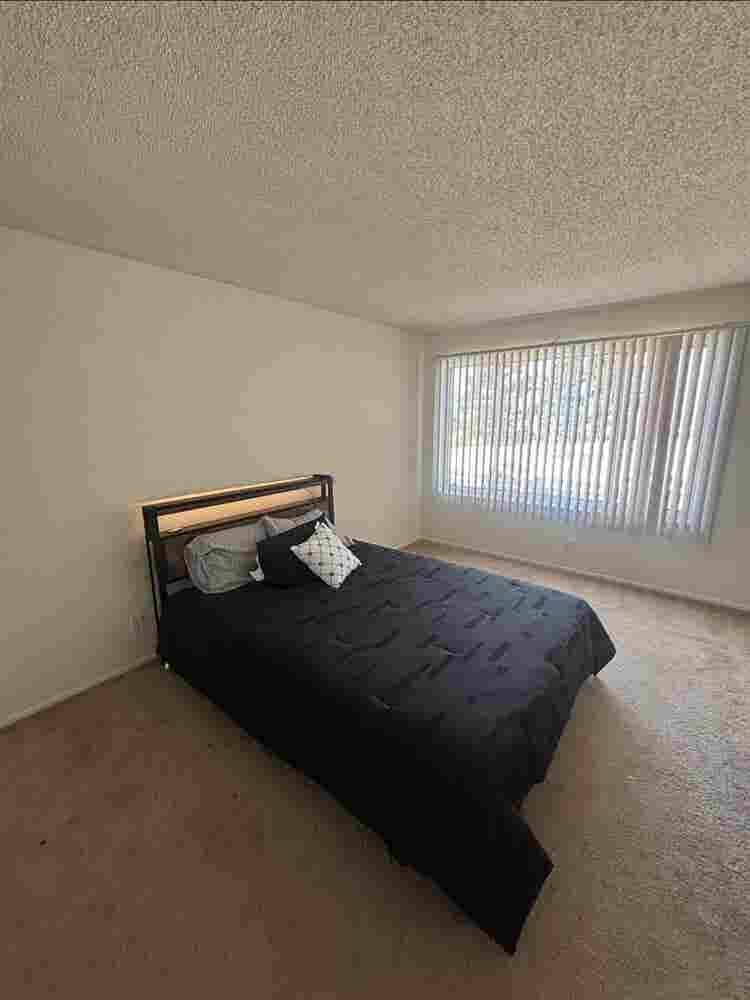 Iso Roomate June 1st move in