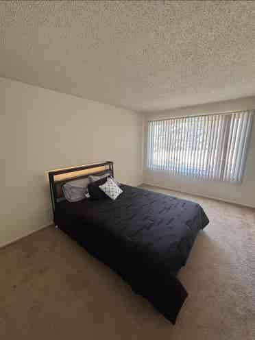 Iso Roomate June 1st move in