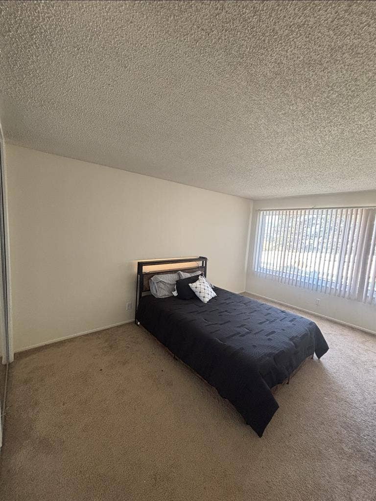 Iso Roomate June 1st move in