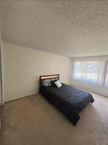 Iso Roomate June 1st move in
