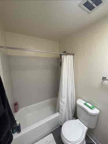 Iso Roomate June 1st move in