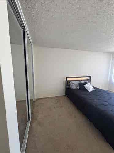 Iso Roomate June 1st move in
