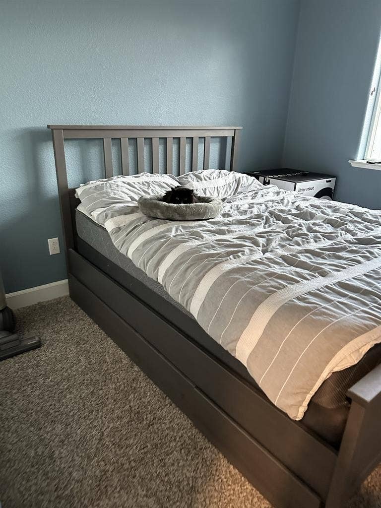 Room for rent in Spanish Springs!