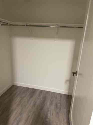 Brand new room for rent