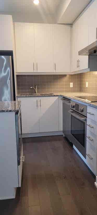 Sunny Luxury Downtown Condo