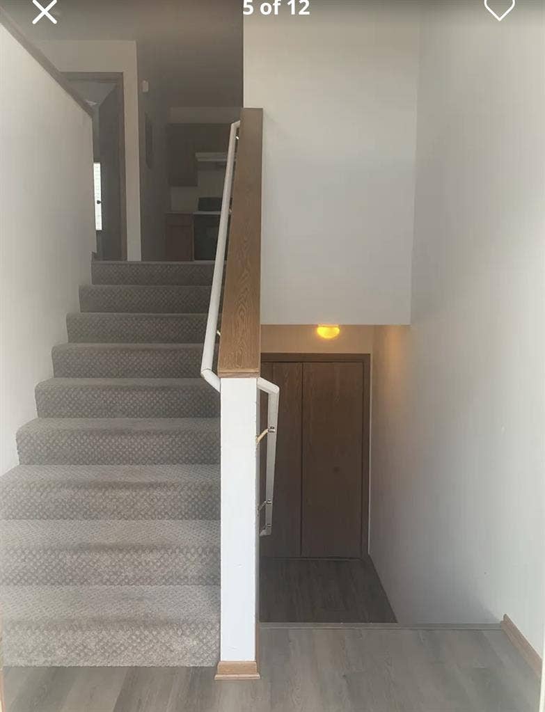 Looking for 2 female roommates